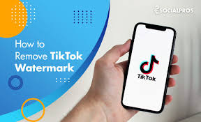 How to Remove TikTok Watermark: Step-by-Step Guide