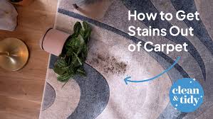 How to Remove Stains from Carpet